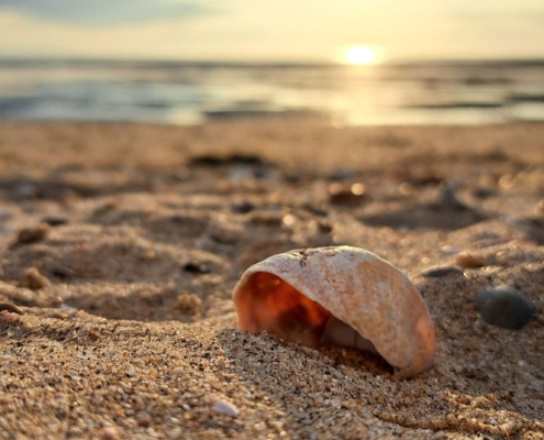 1st place junior - Sophie Cousins