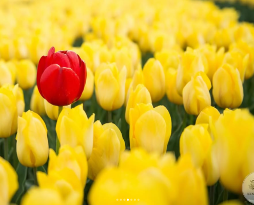 3rd place junior - James