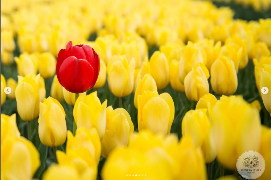 3rd place junior - James